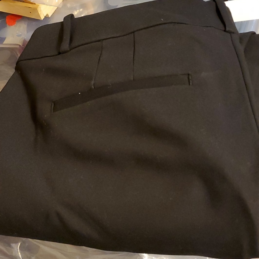NWT loft pants